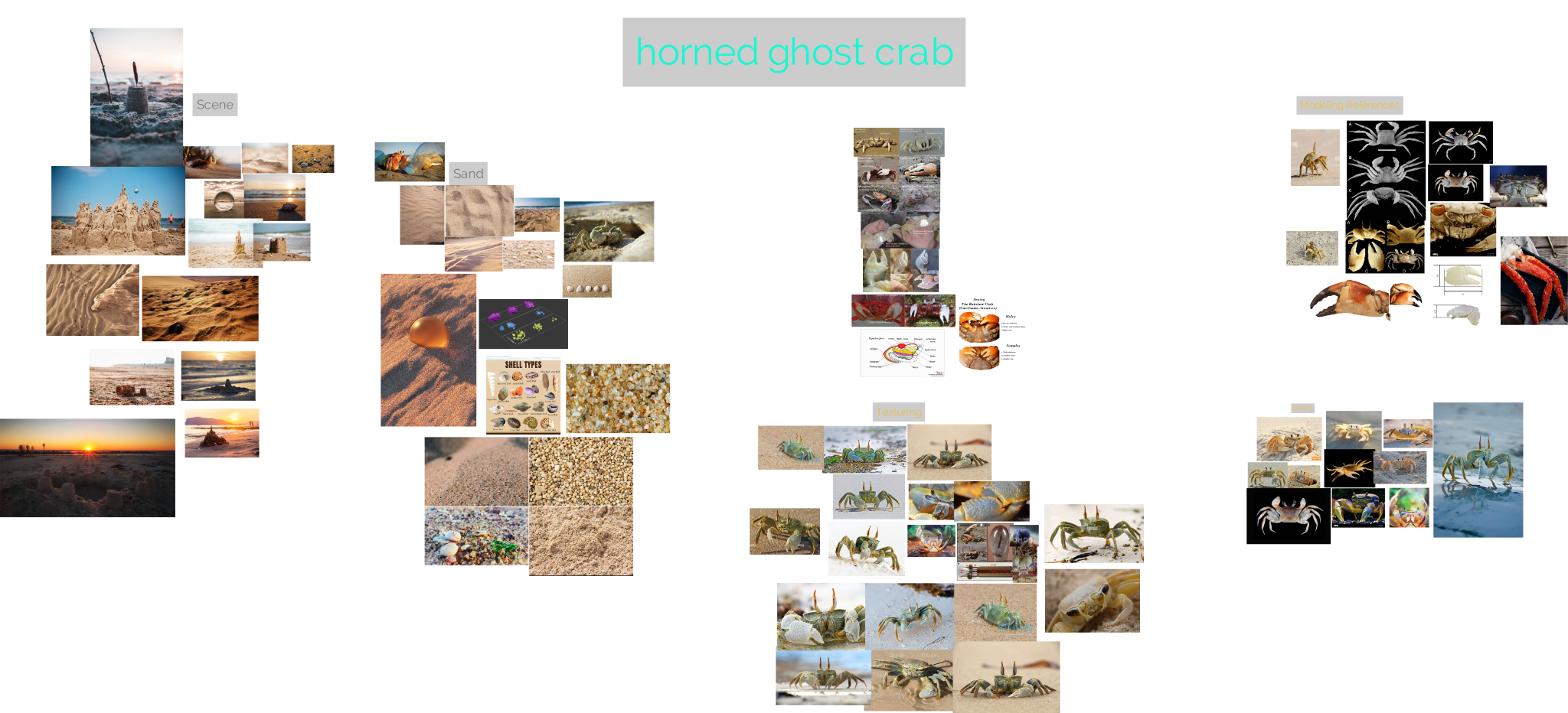 Crab_References
