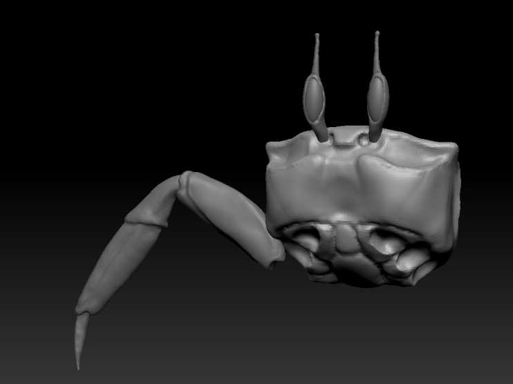 crab_modeling_01