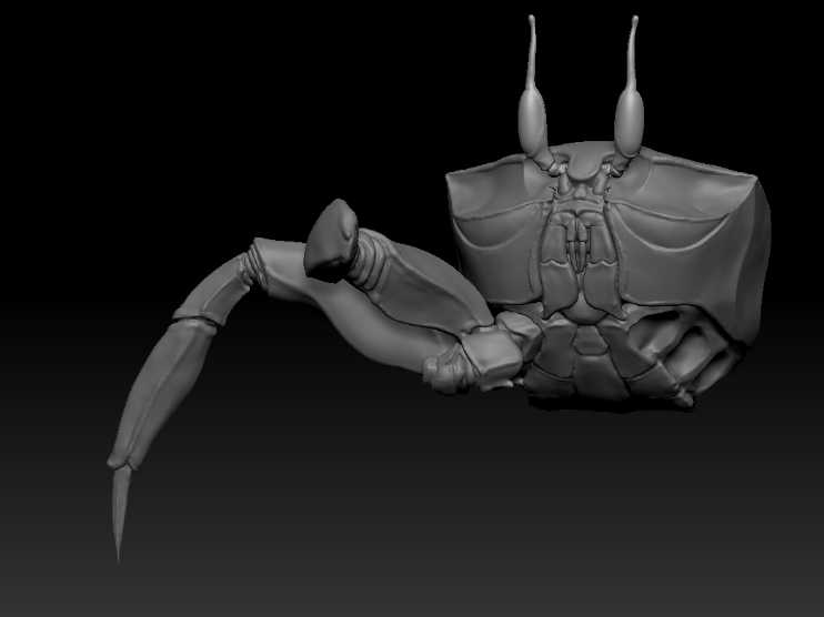 crab_modeling_03