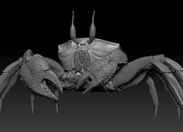 crab_modeling_04